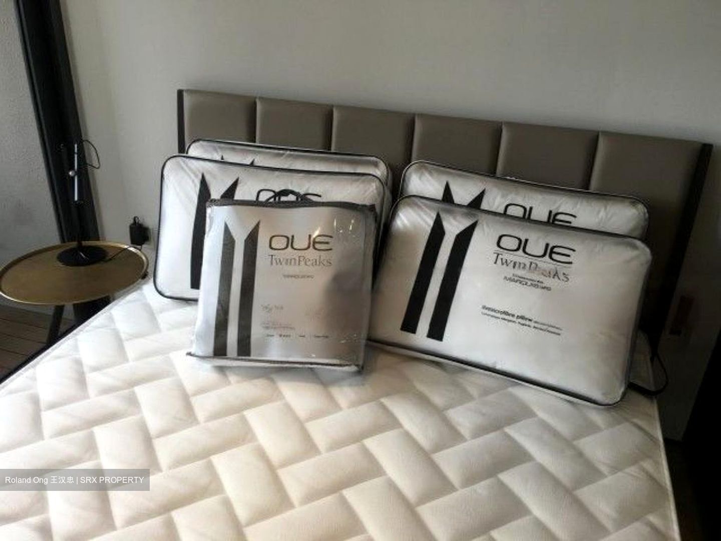 OUE Twin Peaks (D9), Condominium #458331571